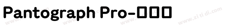 Pantograph Pro字体转换